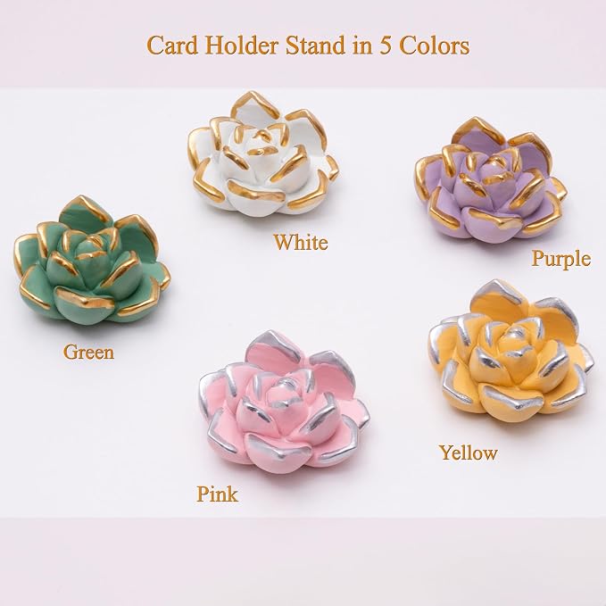 Resin Succulent Business Card Holder Set of 5 - White, Pink, Green, Purple, Yellow - Cute Card Display Stand for Store, Weddings and Office Desk Decor Accessories - Unique Gift for Women