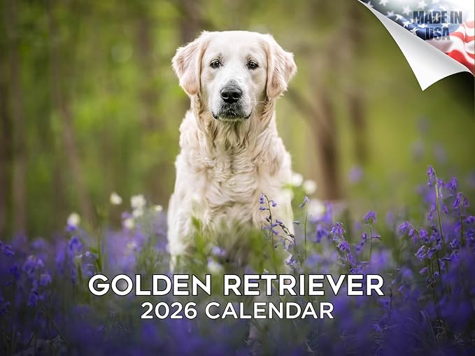 2025 2026 Golden Retriever Calendar - Dog Breed Monthly Wall Calendar - 12" x 18" Open - Thick No-Bleed Paper - Giftable - Academic Teacher's Planner Calendar Organizing & Planning - Made in USA