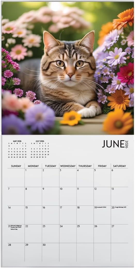 Cats and Flowers Large Wall Calendar | 12 x 12 Inches | 2026 Wall Calendar | Christmas Gift (Cats and Flowers)