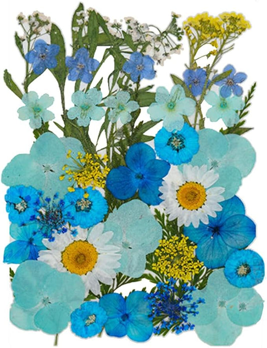11 Types 40pc Colourful Dried Pressed Flowers for Resin Real Flowers for DIY Bookmark Scrapbook Photo Frame Jewelry Vase Candle Making Nail Card Art Craft Floral Decors