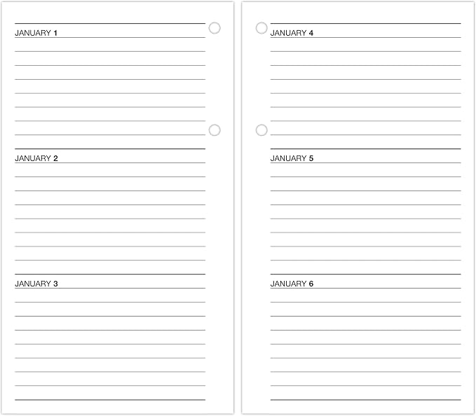 AT-A-GLANCE 2027 Desk Calendar Refill for E2100 Base, Daily Desk Pad Refill, 4.5" x 8", Standard, Loose-Leaf (E2105027)