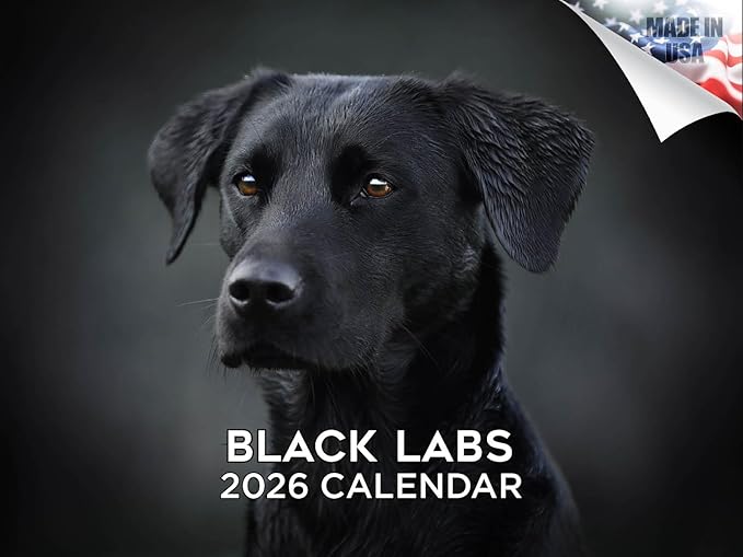 2025 2026 Labrador Black Calendar - Dog Breed Monthly Wall Calendar - 12" x 18" Open - Thick No-Bleed Paper - Giftable - Academic Teacher's Planner Calendar Organizing & Planning - Made in USA