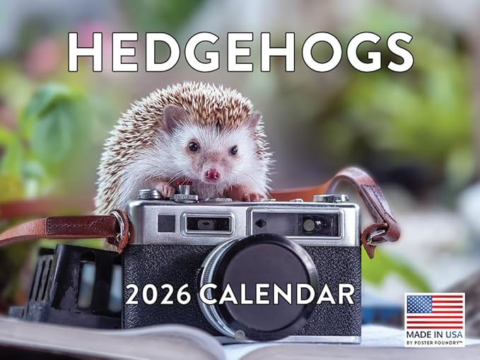 Hedgehog Calendar 2026 Monthly Wall Calender 12 Month | American Made In The USA