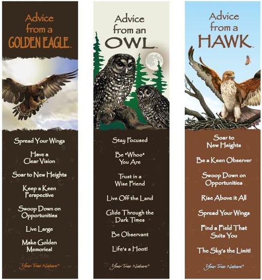 Advice 3 Bookmark Birds of Prey Set, Laminated with Glossy Finish, Printed on Recycled Paper, Owl, Hawk, Golden Eagle (AMBM-BIRDPRY)