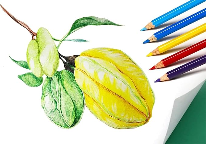 S & E TEACHER'S EDITION 144Pcs Colored Pencils, Pre-sharpened, coloring pencils Christmas Gifts 12 Colors, 12pcs/box, 12Boxes, Total: 144Pcs.