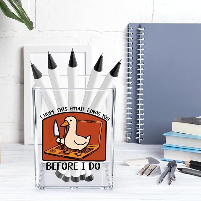 Funny Silly Goose Office Quotes Desk Pencil Holder Appreciation Administrative Professional Day Gifts for Women Men Manager Coworker Friend Acrylic Pen Holder Pencil Pen Cup