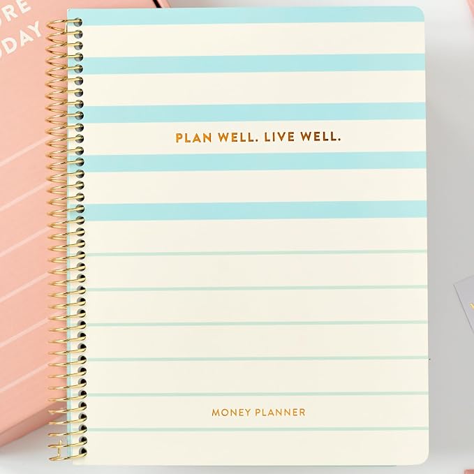PPP Money Planner | 10 Cash Budget Envelopes | Budget Planner | Annual & Monthly Financial Worksheet, Expense, Saving & Debt Reduction Pages | Stickers | Long-Term Financial Goals | Spend Ledger