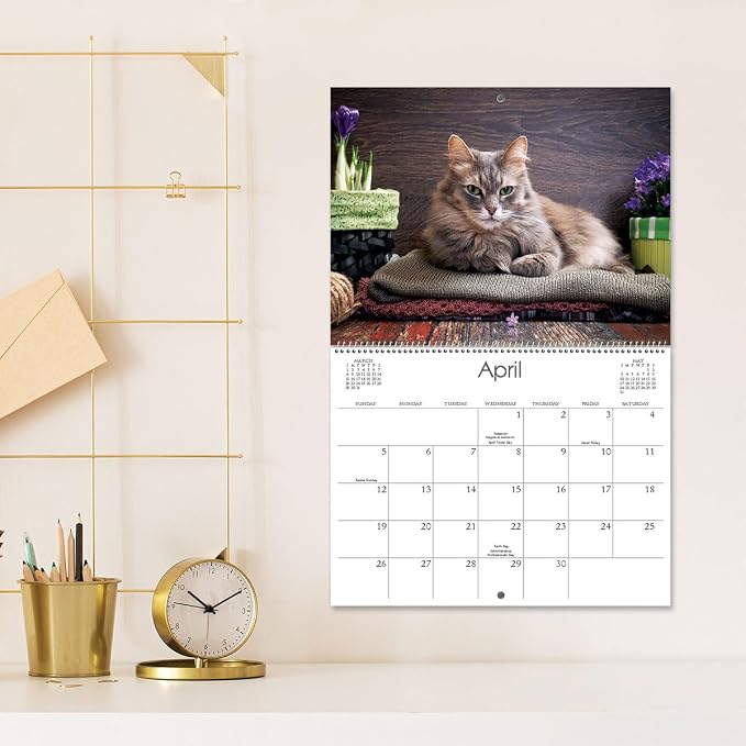Current 2026 Love Those Cats Wall Calendar, 12-Inch x 9-Inch Size Closed, 18-Inch Size Open, Large Bookstore-Quality, Spiral-Bound Hanging Monthly Wall Calendars for Kitchen & Office