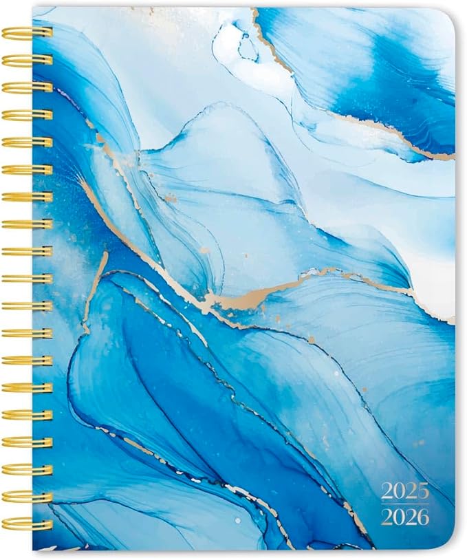 Crackled Blush | 2026 6 x 7.75 Inch 18 Months Weekly Desk Planner | Foil Stamped Cover | July 2025 - December 2026 | Plato | Planning Stationery