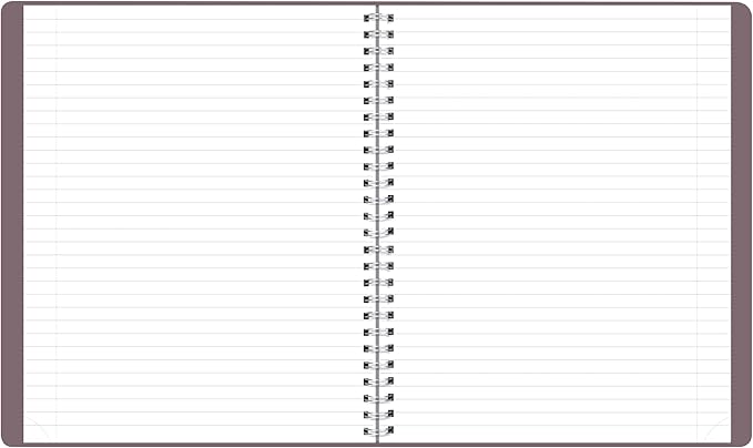 Brownline® 2026 Essential Monthly Planner, 14 Months, December 2025 to January 2027, Twin-Wire Binding, 8.875" x 7.125", Canyon (CB1200G.04-26)