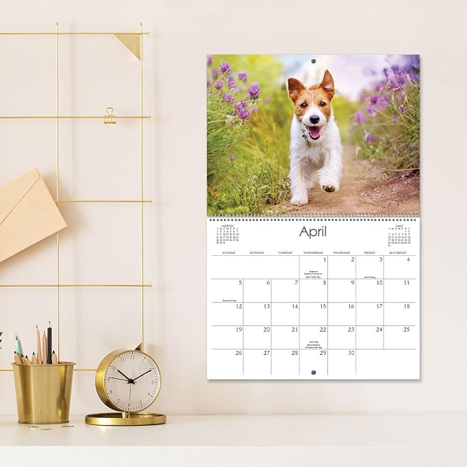 Current 2026 Playful Pups Dog Wall Calendar, 12-Inch x 9-Inch Size Closed, 18-Inch Size Open, Large Bookstore-Quality, Spiral-Bound Hanging Monthly Wall Calendars for Kitchen & Office