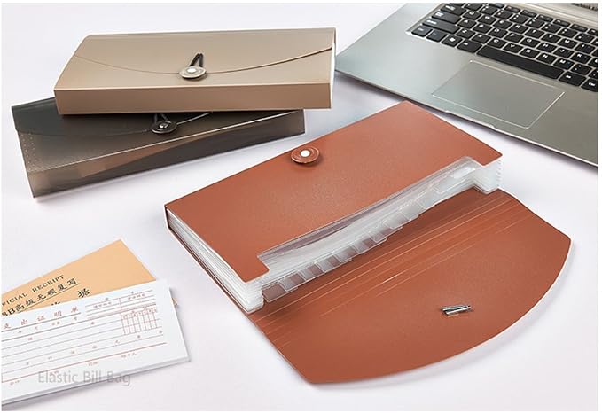 Oak-Pine 13 Pocket Receipt Folder, Khaki Translucent, Plastic, 10.24 x 5.31 x 1.18 in
