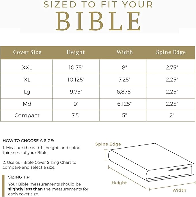 Divinity Boutique, Canvas Bible Case - Black Bible Cover for Men and Women - for Compact, X-Large and XX-Large Books