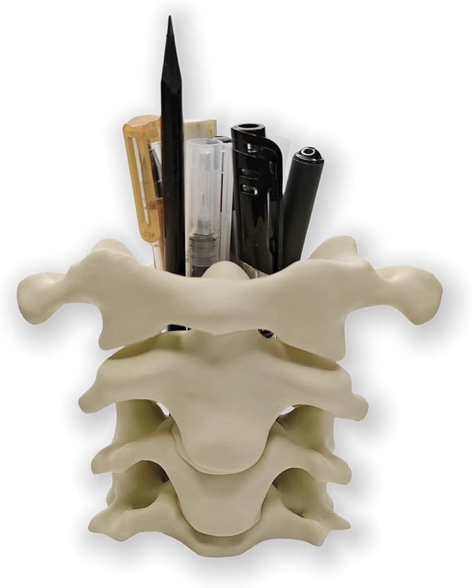 Spine Pen Holder for Desk, Unique Pencil Holder Desk Organizers, Office Supplies Decorations Gift for Doctors, Nurses, Chiropractors