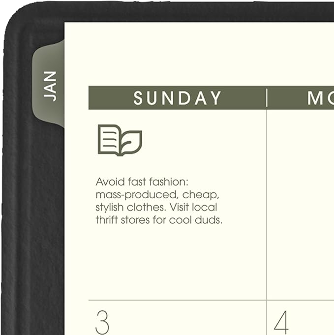 AT-A-GLANCE 2027 Appointment Book Planner, Weekly & Monthly, 8.25" x 11", Quarter-Hourly, Recycled, Black (70950G0527)