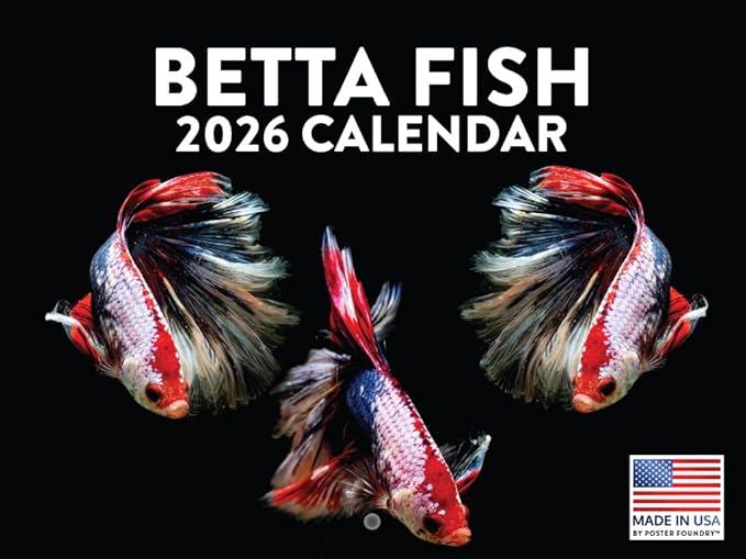 Betta Fish Calendar 2026 Monthly Wall Gifts Calender 12 Month | American Made In The USA
