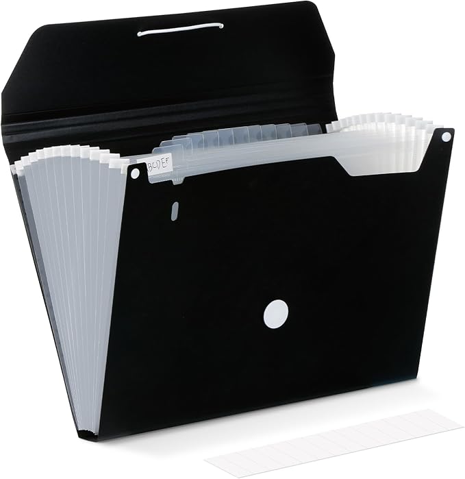 Comix Accordion File Organizer, 13 Pocket Expanding File Floder with Labels for A4/Letter Size Documents, Accordion File Folder for Office, Home, School（Black）