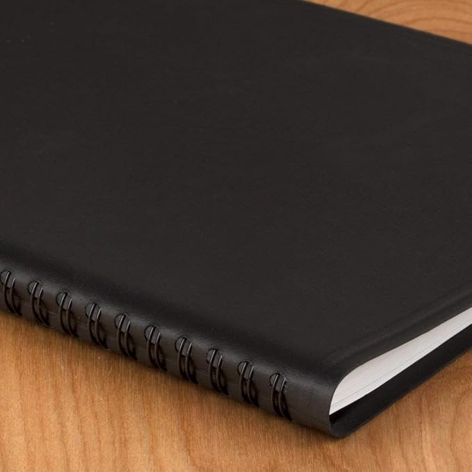 2021 Weekly & Monthly Appointment Book & Planner by AT-A-GLANCE, 8-1/4" x 11", Large QuickNotes, Black (769500521)