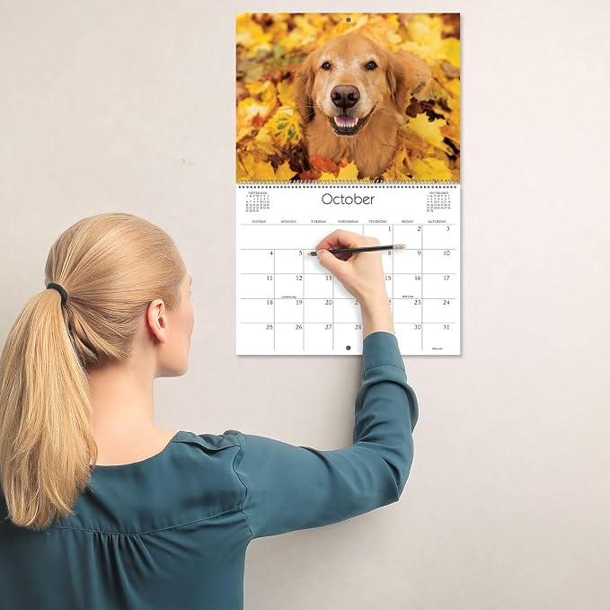 Current 2026 Playful Pups Dog Wall Calendar, 12-Inch x 9-Inch Size Closed, 18-Inch Size Open, Large Bookstore-Quality, Spiral-Bound Hanging Monthly Wall Calendars for Kitchen & Office