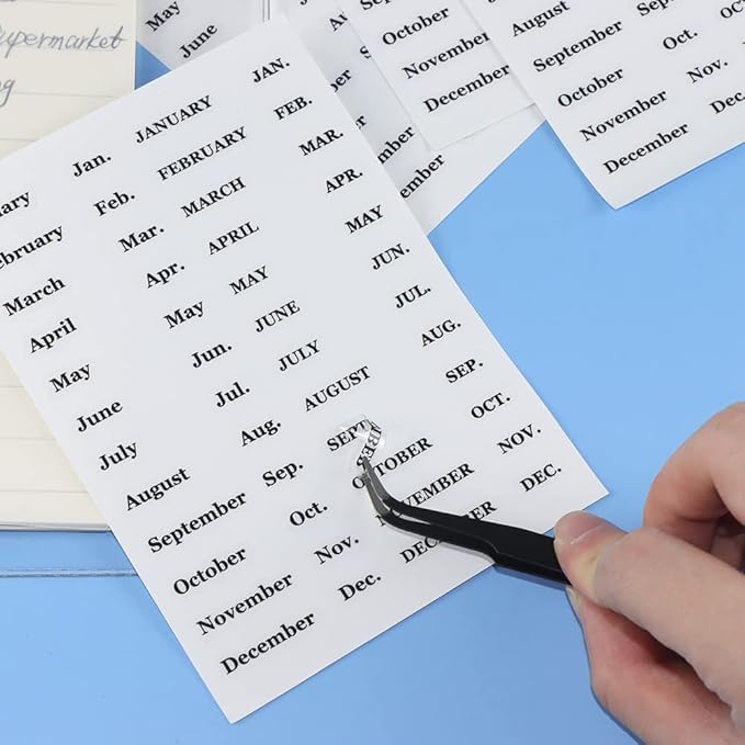Months Planner Stickers, 10 Sheets 480pcs Monthly Tab Stickers, Clear Black Font Removable Waterproof Vinyl Monthly Cash Envelope Sticker Labels for Monthly Finance Planner (Black)