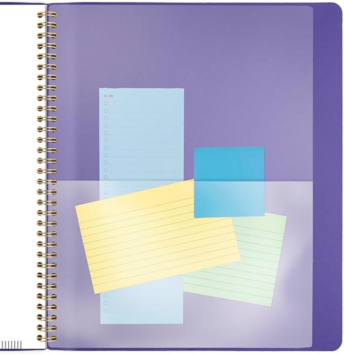 AT-A-GLANCE 2025 Planner, Monthly, 9” x 11”, Large, Contemporary, Purple (70250X1425)