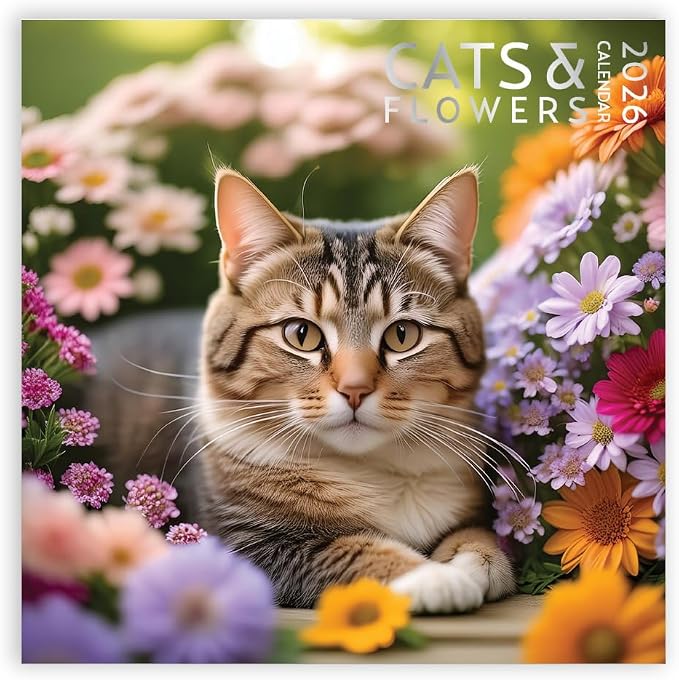 Cats and Flowers Large Wall Calendar | 12 x 12 Inches | 2026 Wall Calendar | Christmas Gift (Cats and Flowers)