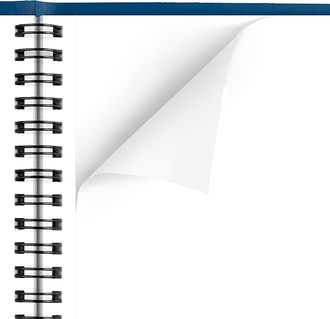 AT-A-GLANCE 2026 Planner, Monthly, 7" x 8-3/4", Medium, Blue (701242026)
