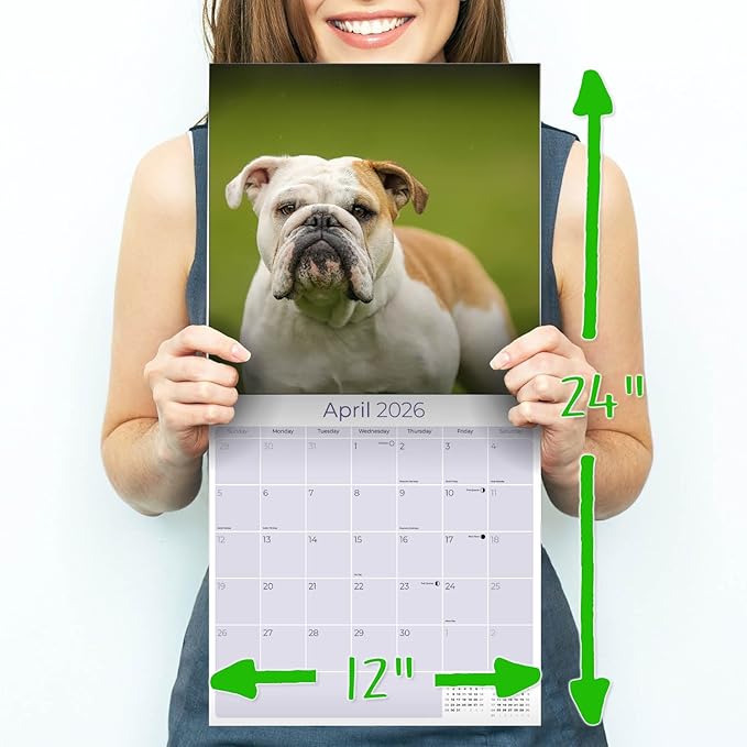 Bulldog Calendar 2026 by MegaCalendars – Monthly Dog Breed Wall Calendar, Made in USA