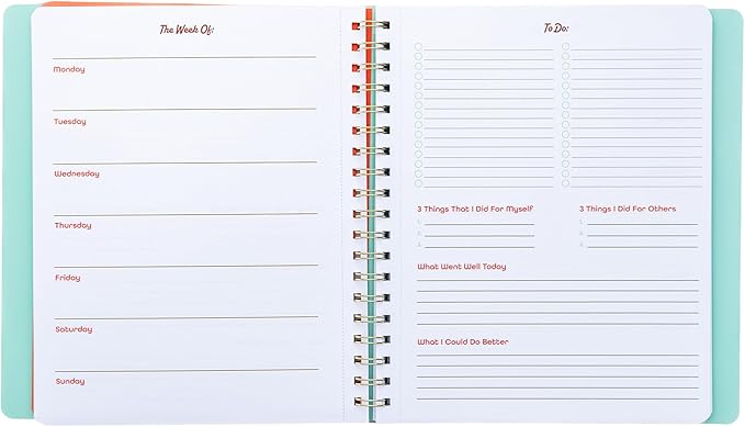 ban.do Undated Weekly Planner, Concealed Spiral Notebook with Stickers, To-Do Lists, Guided Wellness Journal, Daily Organizer for School or Office (Cherries and Strawberries Teal)