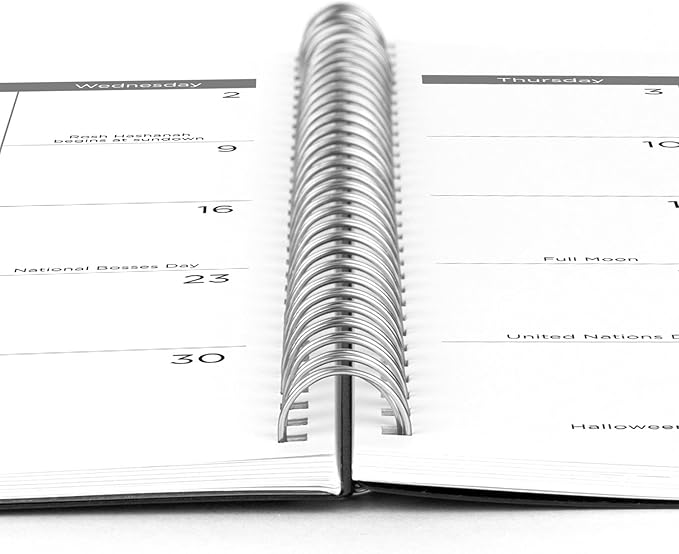 Mead 2025 Planner, Weekly & Monthly, 15-Month, 8-1/2" x 11", Large, Basic, Black (CRW6200525)