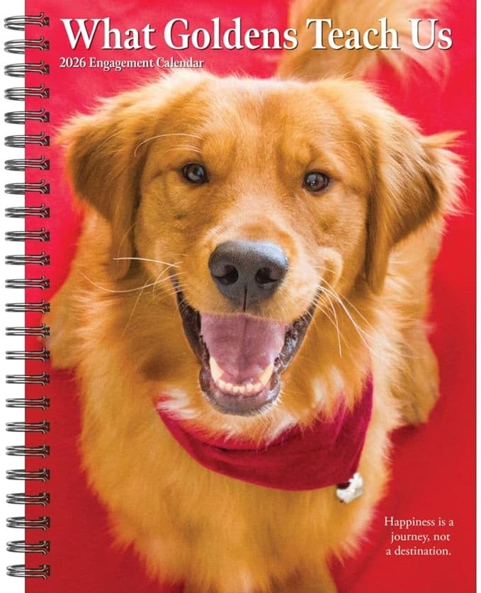 Willow Creek Press, What Goldens Teach Us 2026 Engagement Planner, 7'' X 8.66'', Weekly Calendar with Spiral Binding