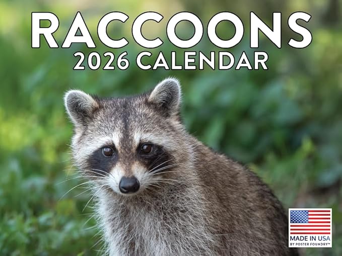 Raccoon Calendar 2026 Wall 12 Month Raccoons Gifts For Racoon Lovers Women Men Monthly Calender | American Made In The USA