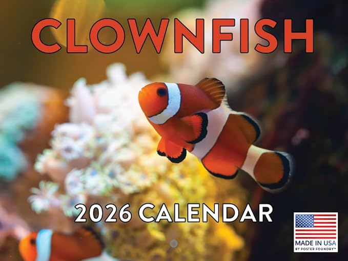 Clownfish Calendar 2026 Clown Fish Monthly Wall Calender 12 Month | American Made In The USA