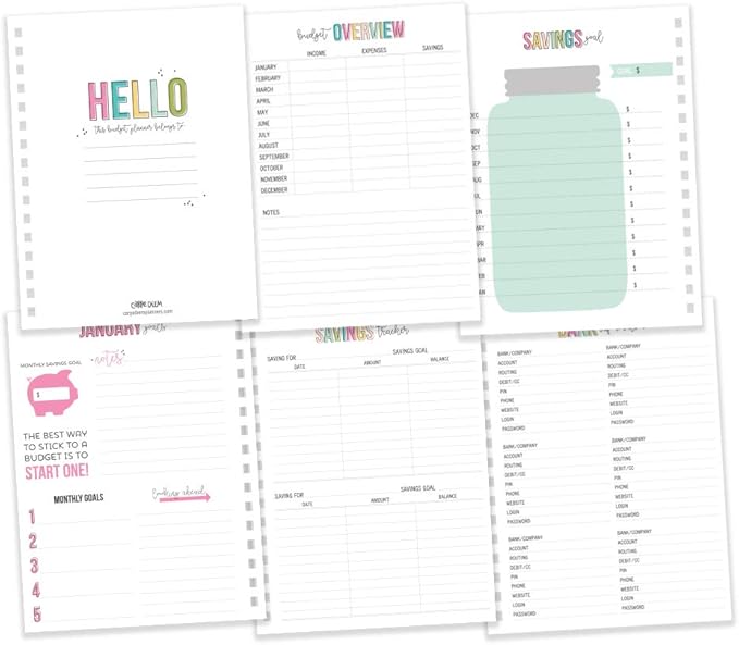 Pukka Pad, Carpe Diem Budget Planner Spiral Bound Notebook with 12 Month Calendar, Dividers, Inserts, and Sticker Sheets – Features Savings Goals & Tracker, Financial Overview, and Bank Information