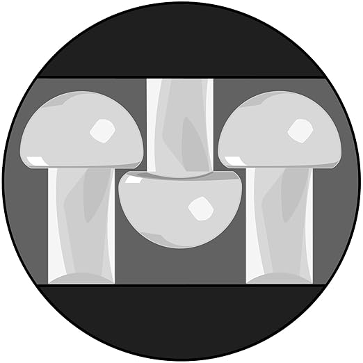 3M SJ4570 Dual Lock Low Profile Reclosable Fastener, Clear 2" Wide x 50 Yards Yards (Pack of 1)
