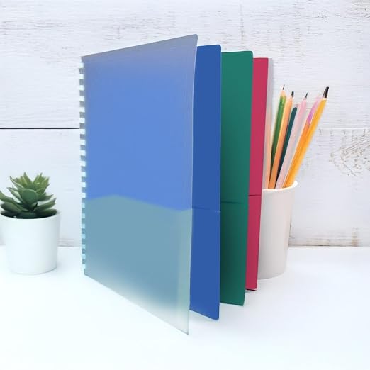 School Smart 8-Pocket Project Organizer, Polypropylene, Multicolor, 1 Count (Pack of 1)