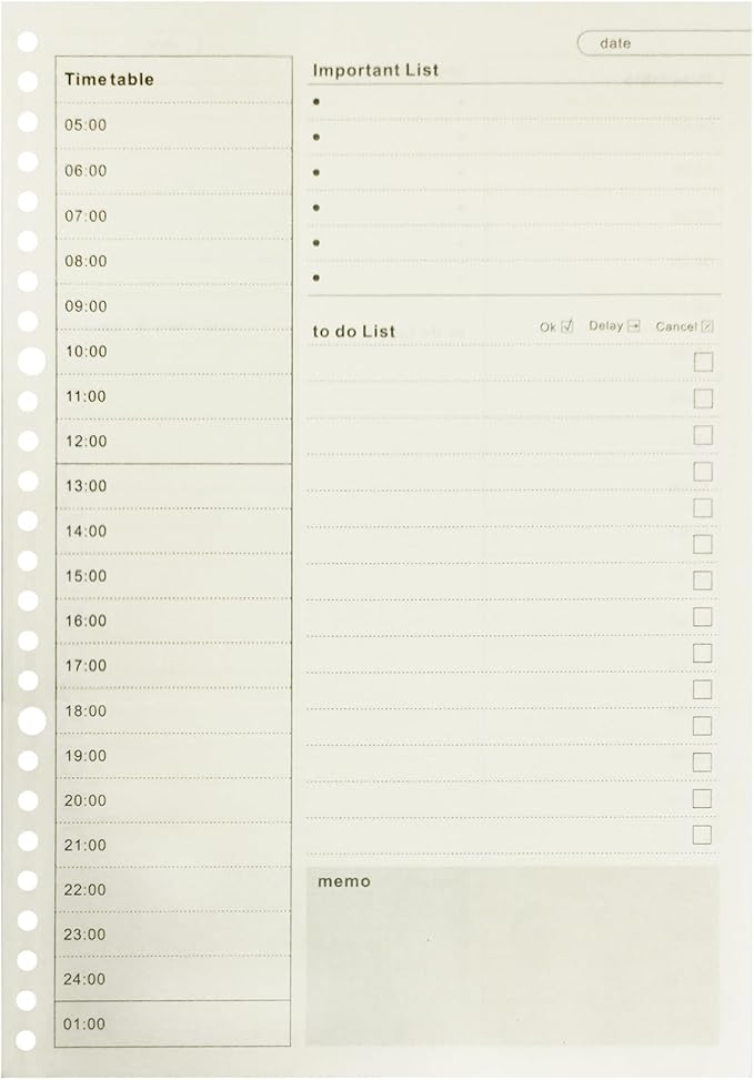 Zelten 2 Pack B5 120 Sheets/240 Pages Time Plan Loose Leaf Punched Paper Refills Paper for 26 Hole Binder Personal Organizer Diary Notebook Refillable Planner