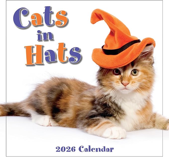 Cats in Hats 2026 Mini Wall Calendar, Funny Cat Photography in Costumes, 7" x 7"