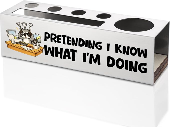 FOKCBOCM Funny Office Pen Holder with Raccoon Design, Stainless Steel Desk Organizer Gift for Coworker, Impostor Syndrome Humor Workspace Decor, Sarcastic Desk Accessory-DS121