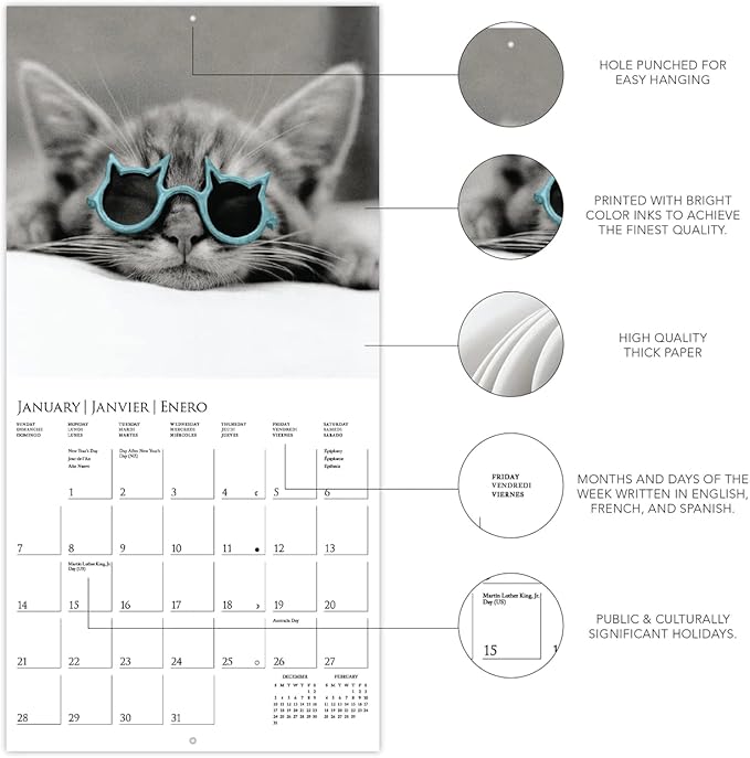 Graphique 2024 Classic Cats Mini Wall Calendar | 7” x 7” | Thick Paper | Home & Office Organizer | Large Monthly Grid | 3 Languages & Marked Holidays | 4 Month Preview Page for 2025