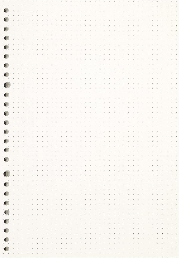 Zelten 2 Pack B5 120 Sheets/240 Pages Dotted Loose Leaf Punched Paper Refills Paper for 26 Hole Binder Personal Organizer Diary Notebook Refillable Planner
