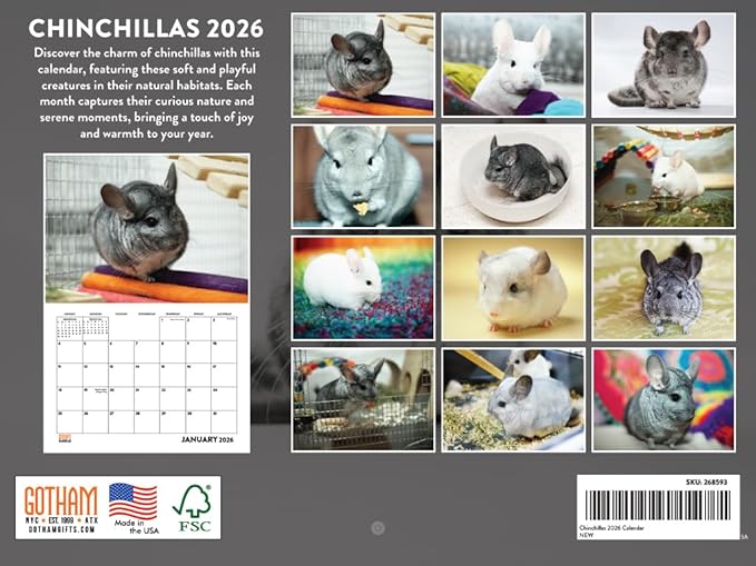 Chinchilla Calendar 2026 Monthly Wall Calender 12 Month | American Made In The USA