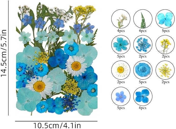 11 Types 40pc Colourful Dried Pressed Flowers for Resin Real Flowers for DIY Bookmark Scrapbook Photo Frame Jewelry Vase Candle Making Nail Card Art Craft Floral Decors