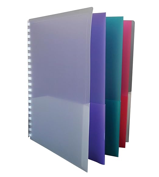 School Smart 8-Pocket Project Organizer, Polypropylene, Multicolor, 1 Count (Pack of 1)