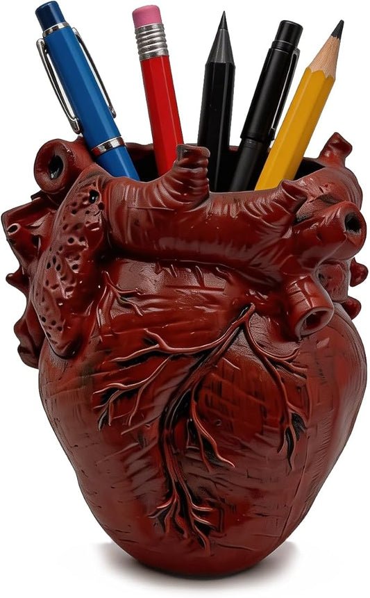 Anatomical Heart Pencil Holder, Resin Organ-Shaped Pen Cup Desk Organizer Decor, Makeup Brush Holder, Compact Desk Accessories Gift, Pen Holder for School, Office(RED)