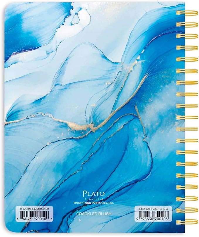 Crackled Blush | 2026 6 x 7.75 Inch 18 Months Weekly Desk Planner | Foil Stamped Cover | July 2025 - December 2026 | Plato | Planning Stationery
