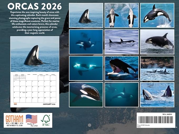 Orca Calendar 2026 Killer Whale Monthly Wall Calender 12 Month | American Made In The USA
