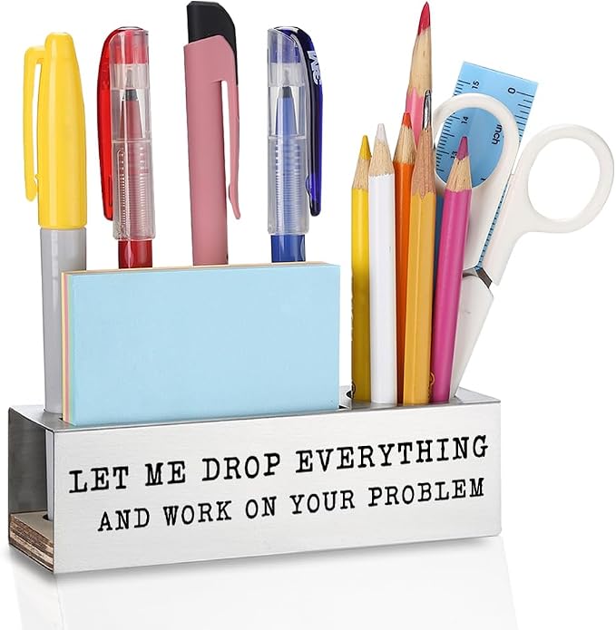 Funny Coworker Pen Pencil Holder Organizer for Desk, Stainless Steel