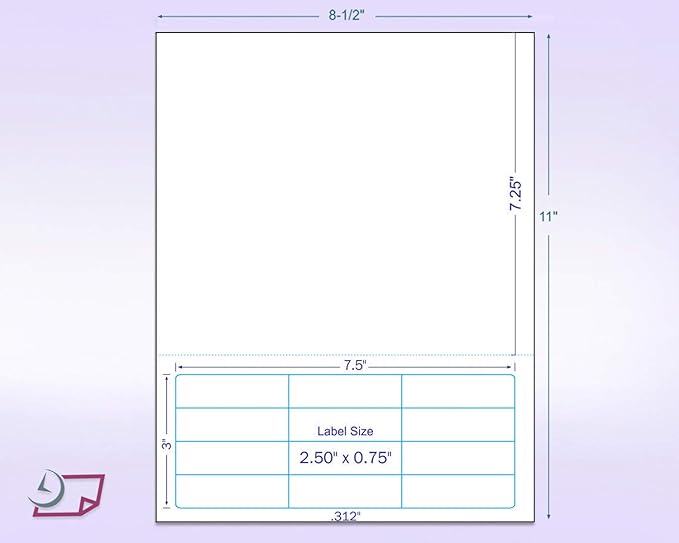 Next Day Labels - Integrated Laser Form with Label Combination (2-1/2" x 3/4" | 12 Labels | 250 Pack)