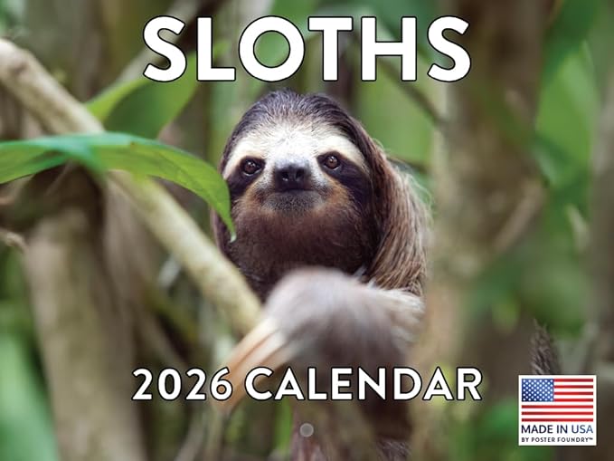 Sloth Calendar 2026 Wall 12 Month Sloths Gifts For Sloth Lovers Women Men Monthly Calender| American Made In The USA